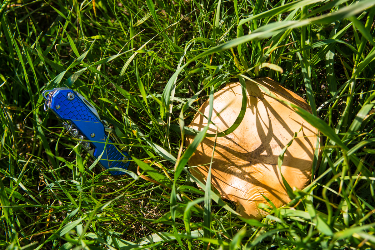 DSC_5439.jpg DSC_5439.jpg