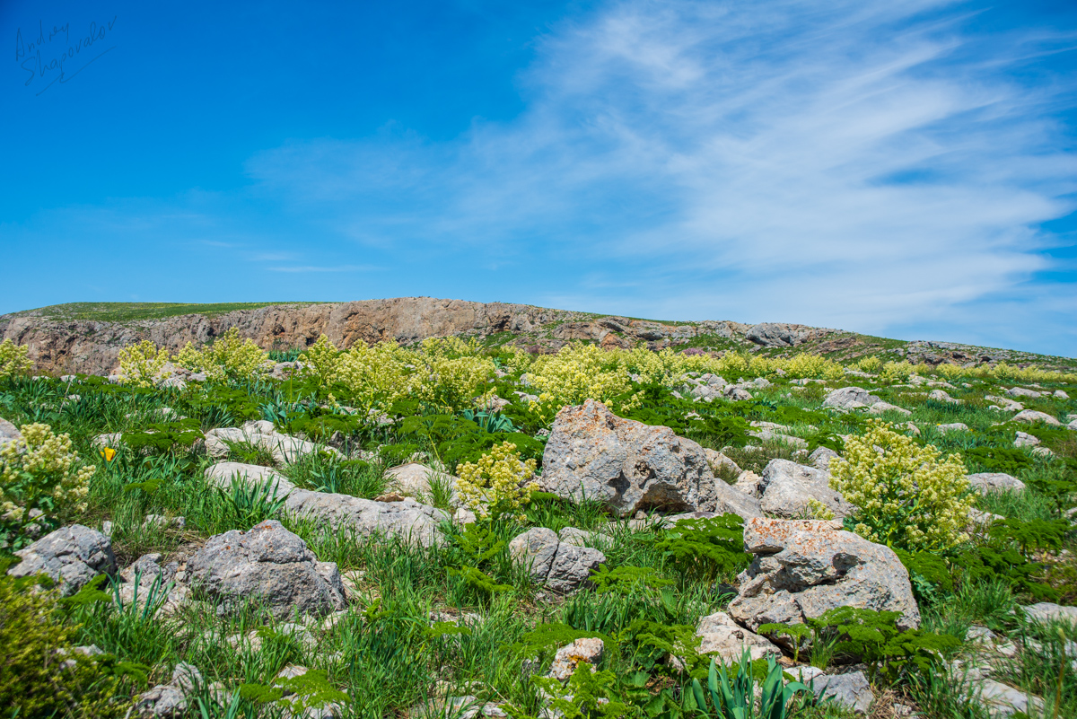DSC_5350.jpg DSC_5350.jpg