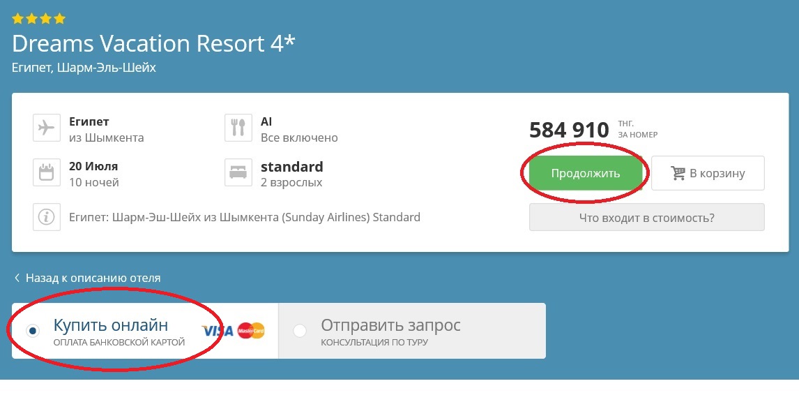 Выбираете онлайн оплату и жмете на "Продолжить" tour info.jpg